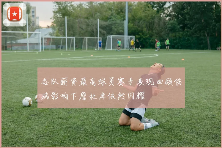 各队薪资最高球员赛季表现回顾伤病影响下詹杜库依然闪耀