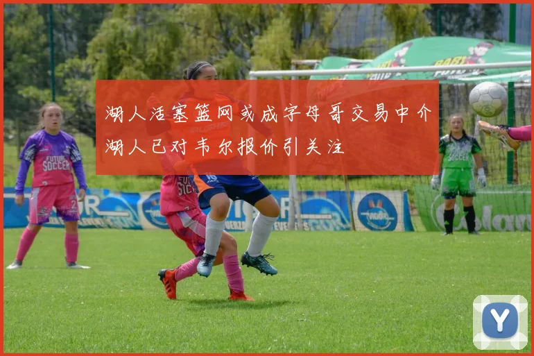 湖人活塞篮网或成字母哥交易中介湖人已对韦尔报价引关注