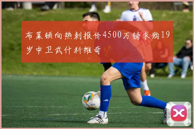 布莱顿向热刺报价4500万镑求购19岁中卫武什科维奇